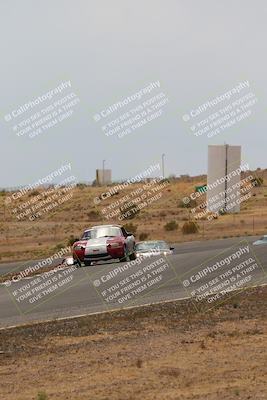 media/May-03-2025-Lucky Dog Racing (Sat) [[206de64b9d]]/Turn 6 (150pm-230pm)/